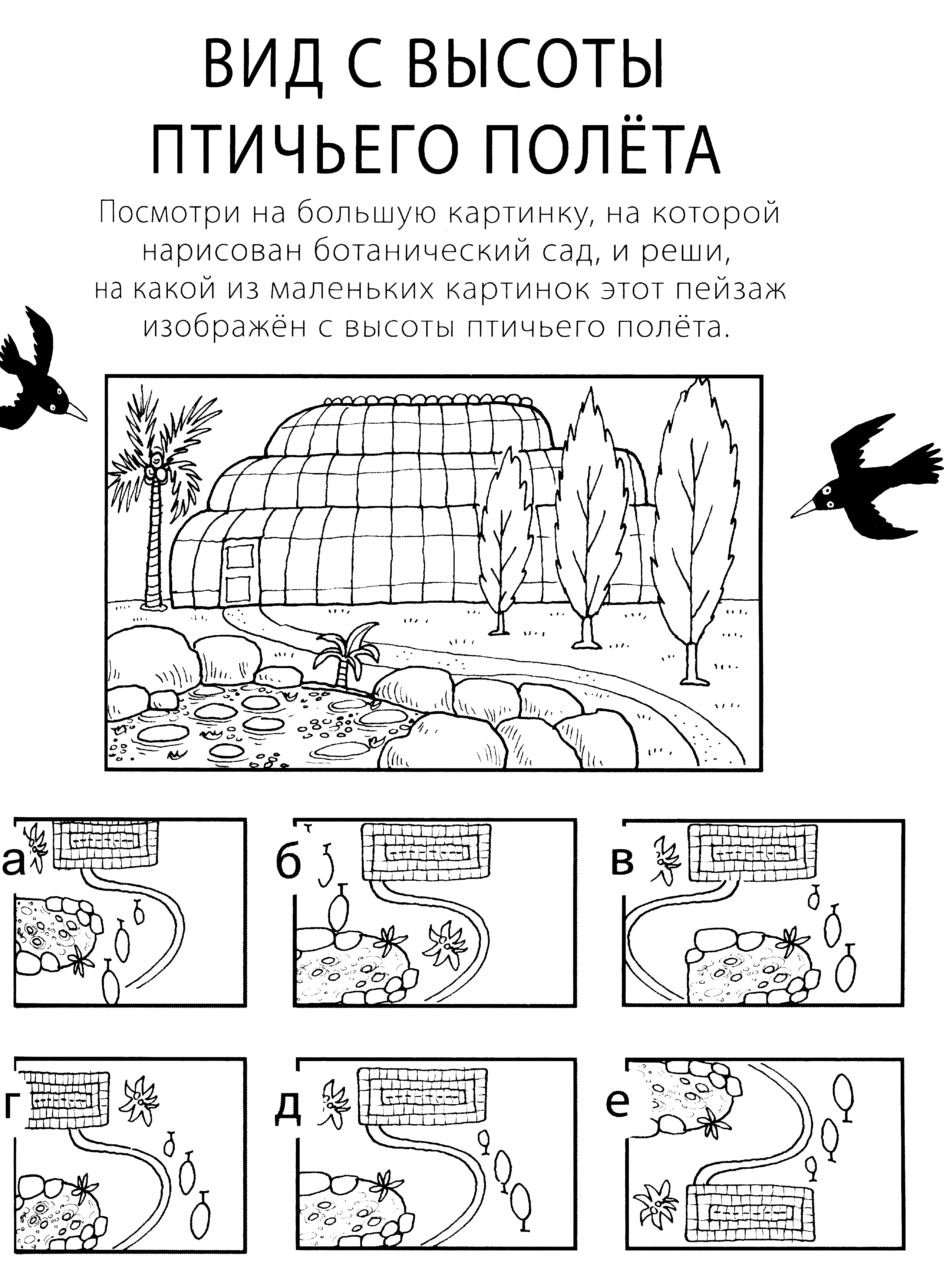 Вид с птичьего полета